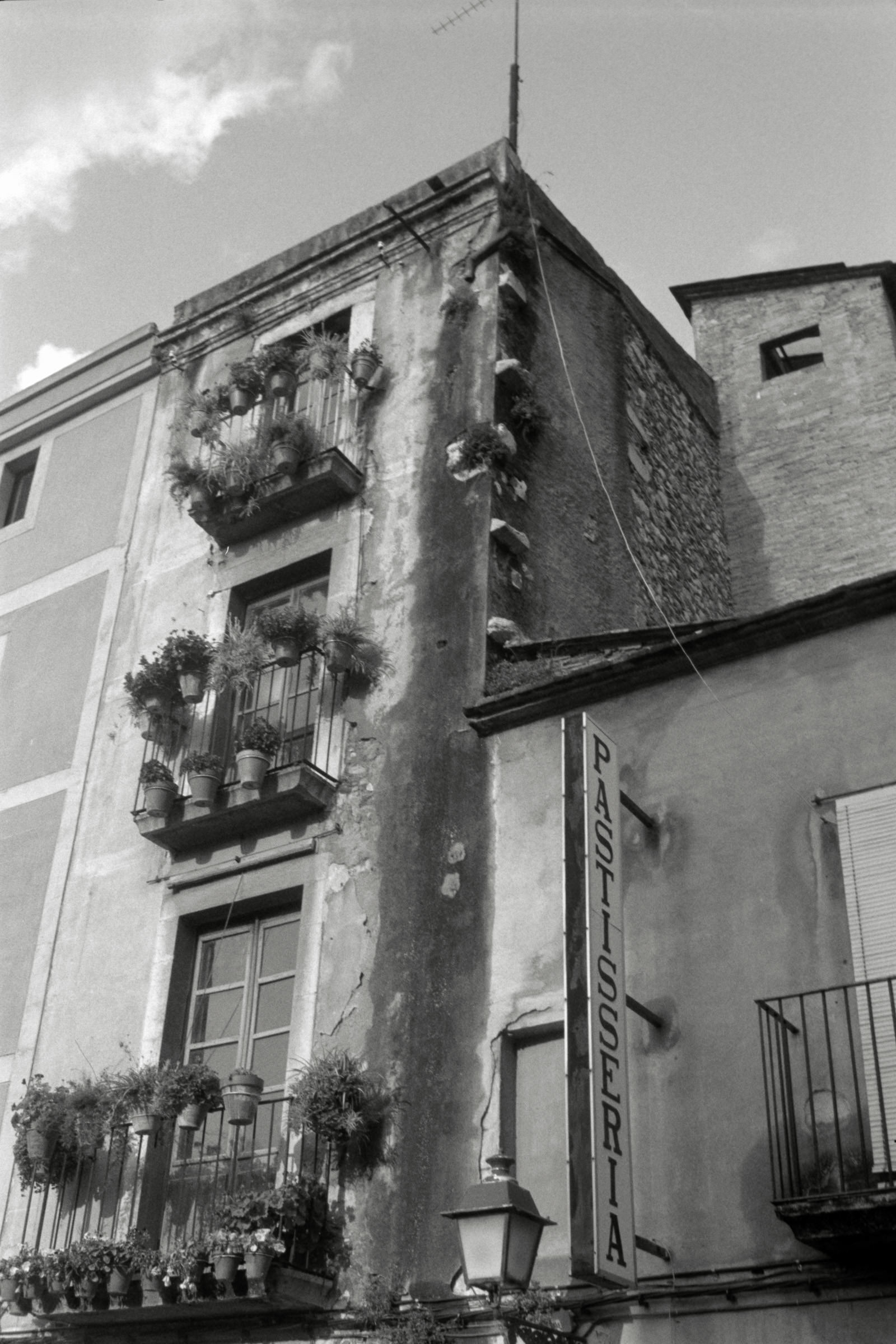 AHP F1996 02 001 sc240816 img25 NLP